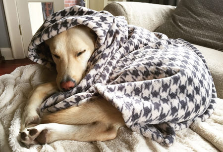 Doggy Blankets + Kitty Blankets [Beds] MyDoggyBlankets